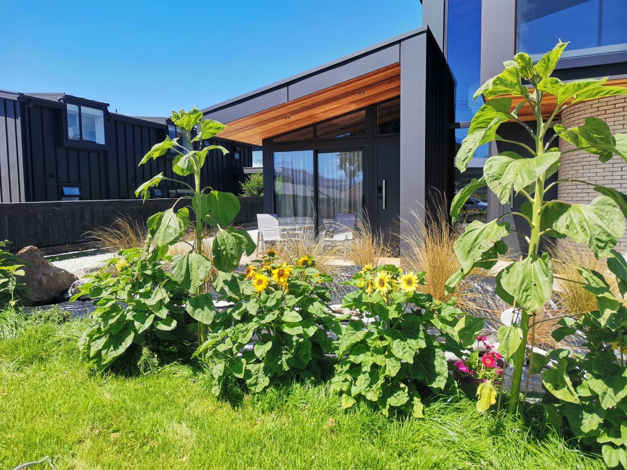Apartament Roys View Wanaka Zewnętrze zdjęcie